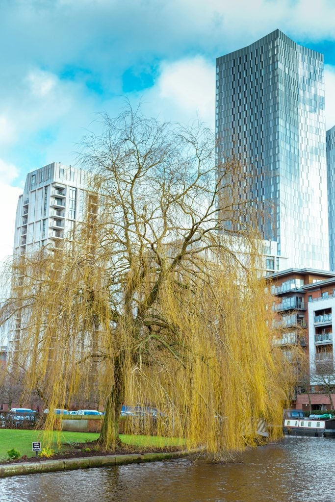 Deansgate Property Investment