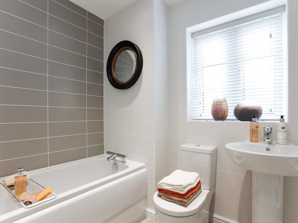 the-alnwick-special-_160367